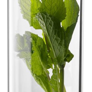 Refrigerator Herb Tender for Storing and Keeping Herbs Fresh in all Refrigerators